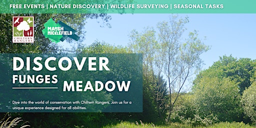 Imagem principal de Discover Funges Meadow | Evening Session