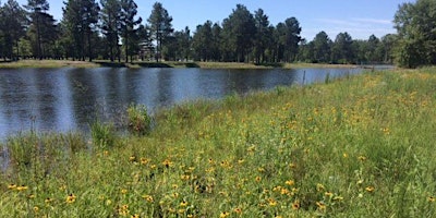 Hauptbild für Pee Dee Recreational Pond Expo