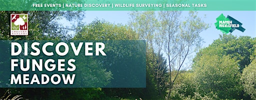 Collection image for Discover Funges Meadow | Evening Sessions