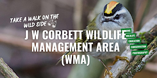 Primaire afbeelding van J W Corbett Wildlife Management Area (WMA)