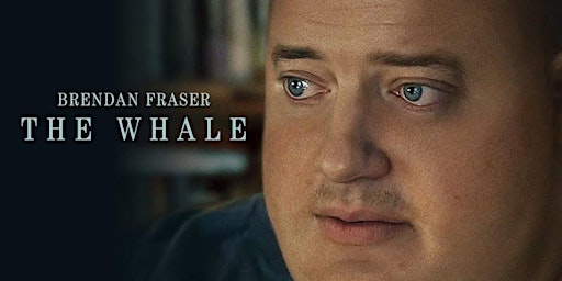 Immagine principale di FBFF Movie Night, The Whale 