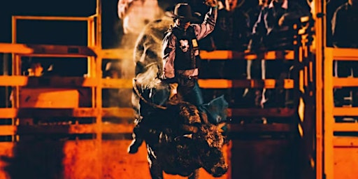 FAWE Brooksville Rodeo primary image