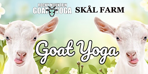 Imagem principal do evento Goat Yoga - April 13th (Skål Farm)