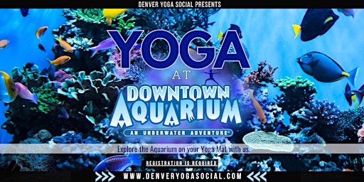 Yoga at the Downtown Aquarium in Denver with Denver Yoga Social primary image