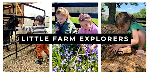 Little Farm Explorers primary image