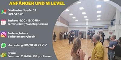 Bachata Bootcamp in Köln, Bachata lernen Sonntags primary image