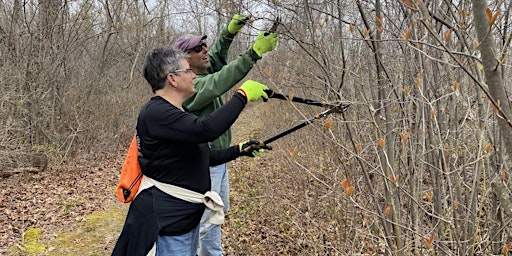 Primaire afbeelding van Volunteer Trail Maintenance Day