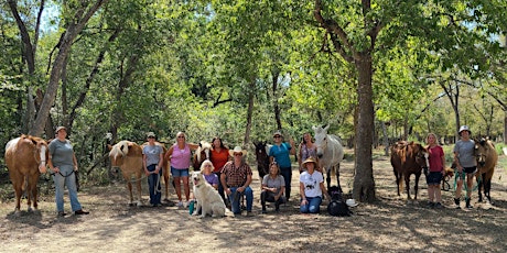 The Hero's Journey: An Equine-Assisted Self Discovery Workshop