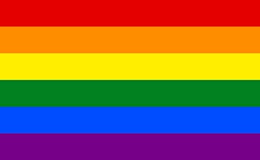 Pride Vinyasa Flow support Black Rainbow primary image