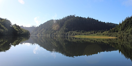 Hauptbild für Klamath River Cleanup: Invasive Plant Removal