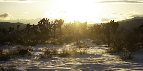 Barker Dam Sunset Hike