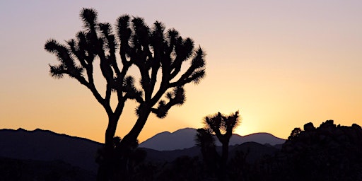 Imagem principal de Barker Dam Sunset Hike