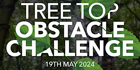Go Ape Tree Top Obstacle Challenge