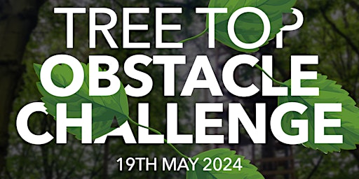 Primaire afbeelding van Go Ape Tree Top Obstacle Challenge