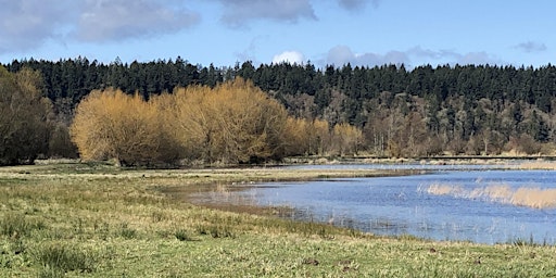 Image principale de PAWA Paints Nisqually Wildlife Refuge 2024