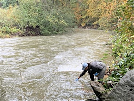 Protecting Salmon from Tire Wear Toxins - 6-PPDQ Workshop 2024 primary image