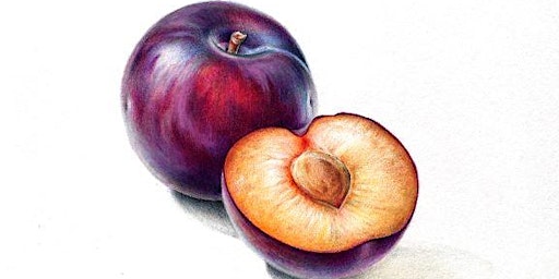 Coloured Pencil Drawing with Fay Plamka  primärbild