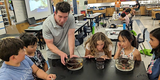 Primaire afbeelding van Ocean Odyssey: Exploring California's Marine Wonders - 3rd to 5th