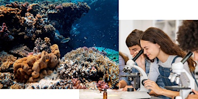 Ocean Odyssey: Exploring California's Marine Wonders- 6th to 9th primary image