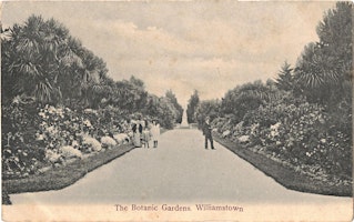 Imagem principal do evento Balancing the Past, Present and Future of Williamstown Botanic Gardens