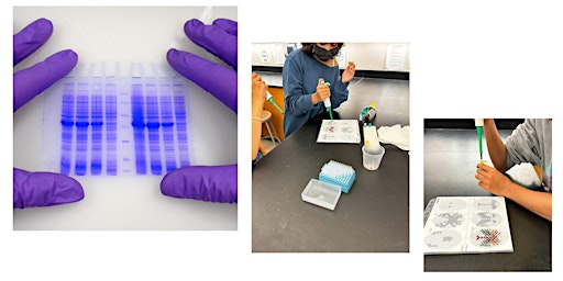 Imagem principal de Advanced Biotechnology Lab - 8th to 12th