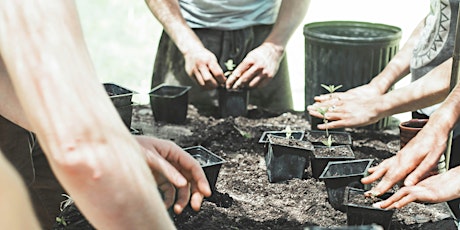 Imagem principal do evento Free Workshop: Seed Sowing for Community Gardens