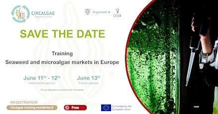 Training - Algae markets in Europe