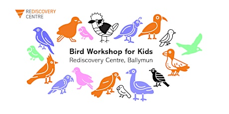 Bird Workshop for Kids