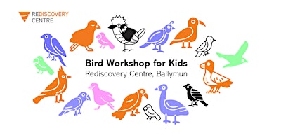 Imagen principal de Bird Workshop for Kids