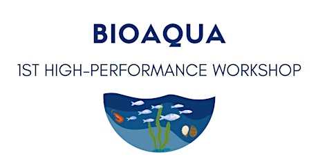 1st BIOAQUA High-Performance Workshop