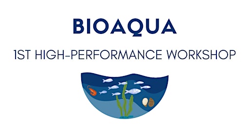 Imagem principal de 1st BIOAQUA High-Performance Workshop