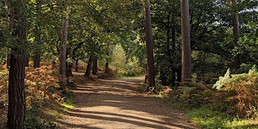 Imagem principal do evento Delamere Forest | Cheshire | 3.1km