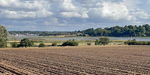 Primaire afbeelding van The Significance of Soil at Martlesham Wilds (E2P2817)