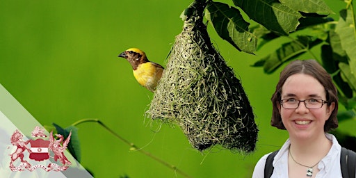 Hauptbild für What Can Birds' Nests Teach us About Evolution?