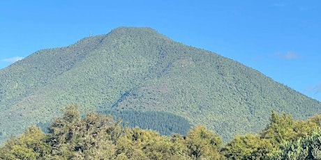 HEALING REVIVAL KAWERAU