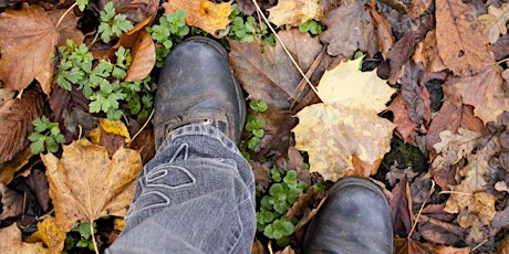 Leave No Trace Certified Awareness Course