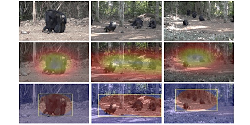 AI Computer Vision for Biodiversity Conservation workshop primary image
