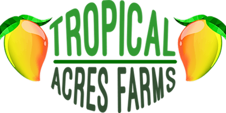 RARE FRUIT COUNCIL PALM BEACH COUNTY w/ ALEX SALAZAR - TROPICAL ACRES FARMS