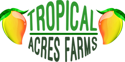 Image principale de RARE FRUIT COUNCIL PALM BEACH COUNTY w/ ALEX SALAZAR - TROPICAL ACRES FARMS