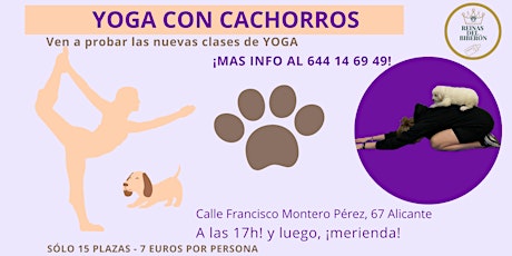 Yoga con Cachorros