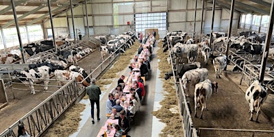 Primaire afbeelding van Paasbrunch tussen de koeien