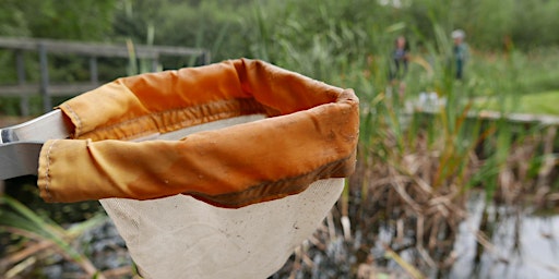 Swanwick Lakes Family Pond Dip 10am-11am primary image