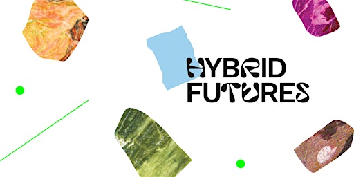 Primaire afbeelding van Hybrid Futures: Making, Showing &Collecting Art in a Time of Climate Crisis