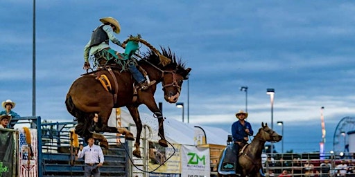 Image principale de Doswell VA Pro Rodeo