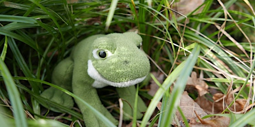 Swanwick Lakes Holiday Wildlife Tots: Frogs and ponds! primary image
