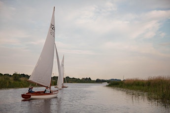 Summer Solstice Guided Broads Ranger Walk primary image