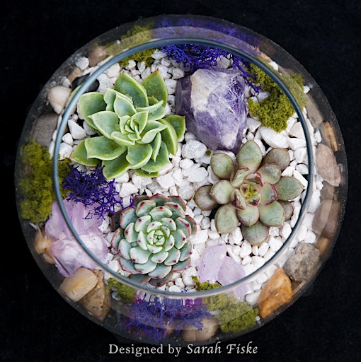 Hauptbild für Plant Nite: Make a Succulent Terrarium