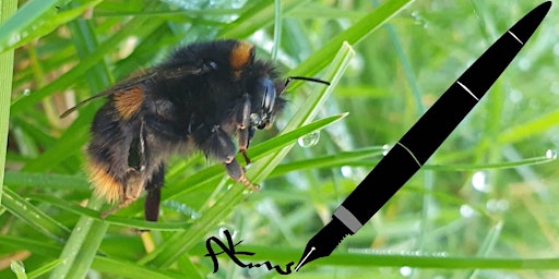 Primaire afbeelding van Nature Walk Followed by Creative Writing