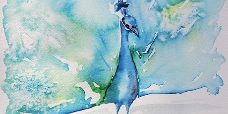 Watercolor: Peacock
