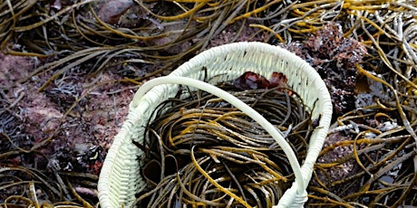 Seawed Foraging and Cooking Workshop